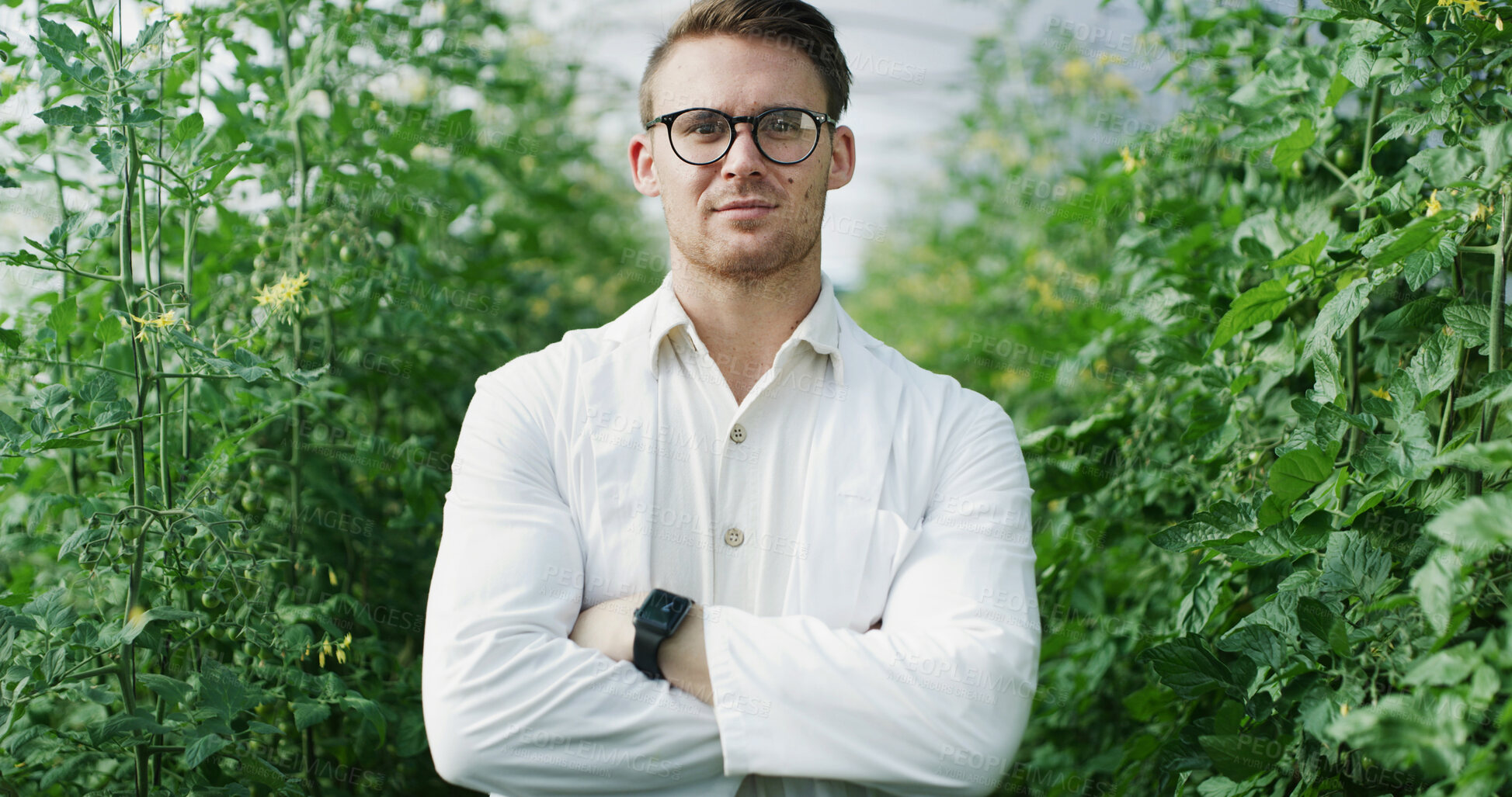 Buy stock photo Scientist, arms crossed and serious portrait in greenhouse for biosecurity, field research or pride. Agronomist, man and confidence for medical innovation, pest control or  sustainable science career