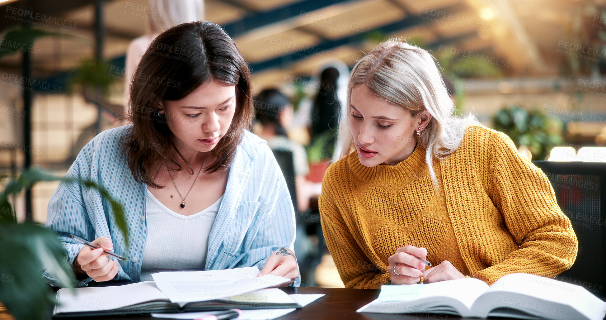 Buy stock photo Women, student and reading in college for collaboration, exam preparation and discussion. Friends, people and textbook for study group, knowledge and research for test or assignment info for project