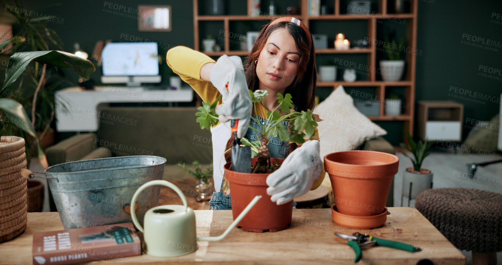 Buy stock photo Florist, planting and woman with trowel for home garden, root or soil maintenance for sustainability. Eco friendly, house and fertilizer for potted plant with tool, gardener and person with gloves