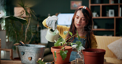 Buy stock photo Plant, relax and water with woman in home for botany hobby, gardening or sustainability. Eco friendly, horticulture and leaf maintenance with person in living room of house for growth and hydration
