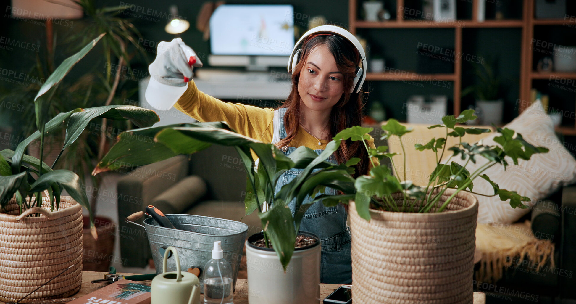 Buy stock photo Plant, spray and leaf with woman in home for botany hobby, gardening or sustainability. Eco friendly, horticulture and water maintenance with person and headphones in living room of house for growth