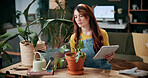 Tablet, woman and pot plant in home for decoration, leaf inspection and research for flora health. Soil evaluation, gardening or florist with tech for pruning instructions, maintenance advice or tips
