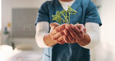 Buy stock photo Hands, growth and plant with nurse in hospital for hope, compassion and care for medical healing. Person, green leaves or nursing with employee for responsibility, healthcare and support for recovery