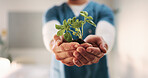Hands, nurse and soil with plant in hospital for hope, compassion and care for medical healing. Palm, leaves and nursing with person for responsibility, healthcare services and support for recovery