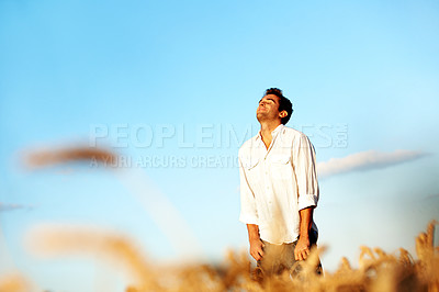 Buy stock photo Relax, sunset and travel with man in field for peace, tourist adventure and freedom with space. Wellness, summer vacation and calm with male person in countryside for explore, zen and meadow