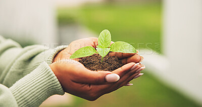 Buy stock photo Growth, soil and hands with plant for conservation, sustainability and person with environment care. Green seedling, sprout and woman in nature for eco friendly support, protection and earth day