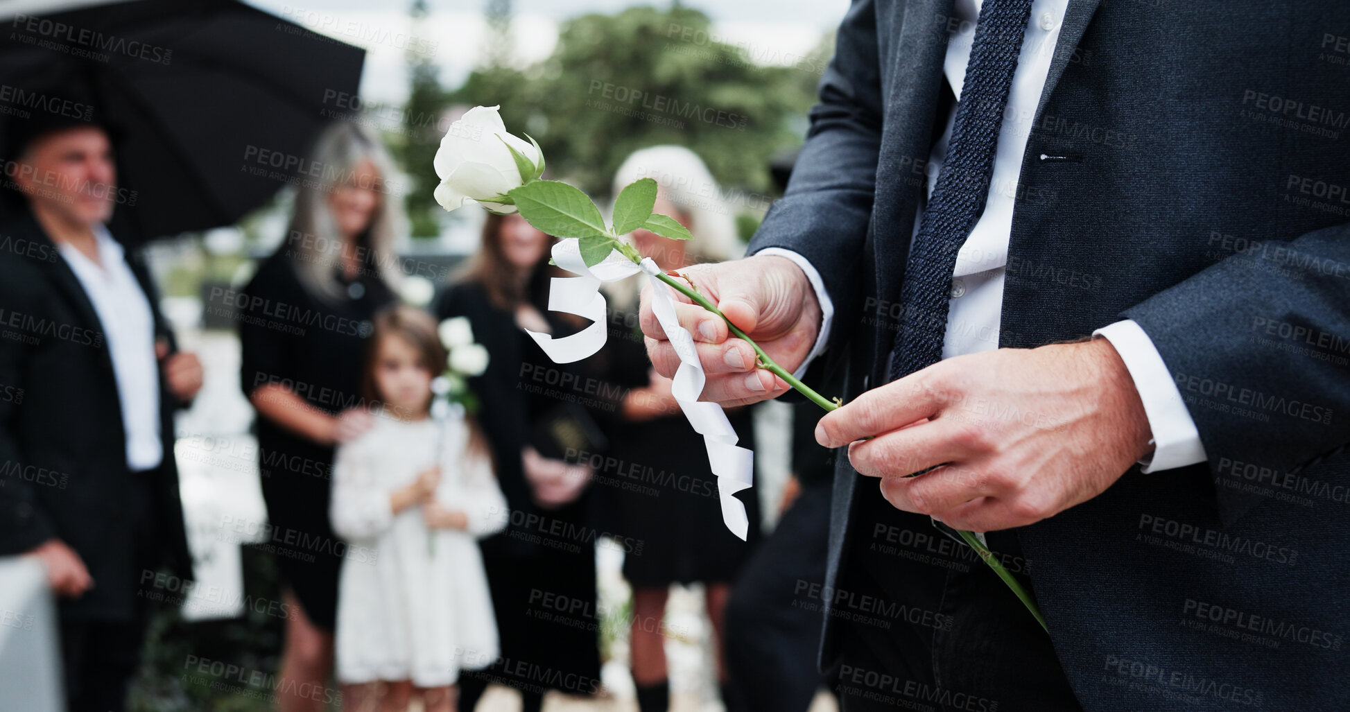 Buy stock photo Man, hand and rose in cemetery with funeral, people mourning and burial ceremony for final goodbye. Person, flower and family death in graveyard outdoor with memorial service, grief and bereavement.