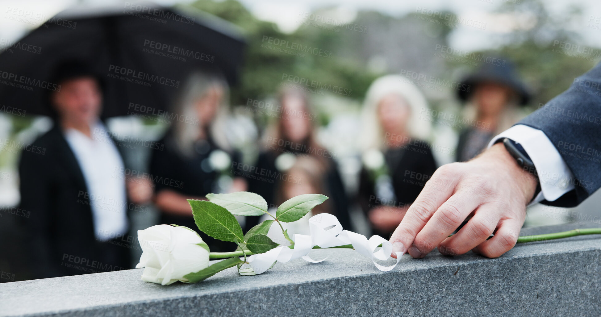 Buy stock photo Man, hand and rose in cemetery with tombstone, funeral and people mourning for memorial service. Person, white flower and family death in graveyard outdoor with gravestone, burial ceremony and grief.
