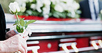 Coffin, rose and hand in graveyard with funeral, bereavement and burial ceremony for final goodbye. Senior person, white flower and casket in cemetery outdoor with memorial, family mourning or grief.