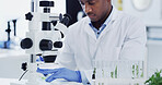 Black man, scientist and microscope for leaves at laboratory, medical research or natural medicine. African person, tools and equipment with gloves, sample or ppe for pharmaceutical development