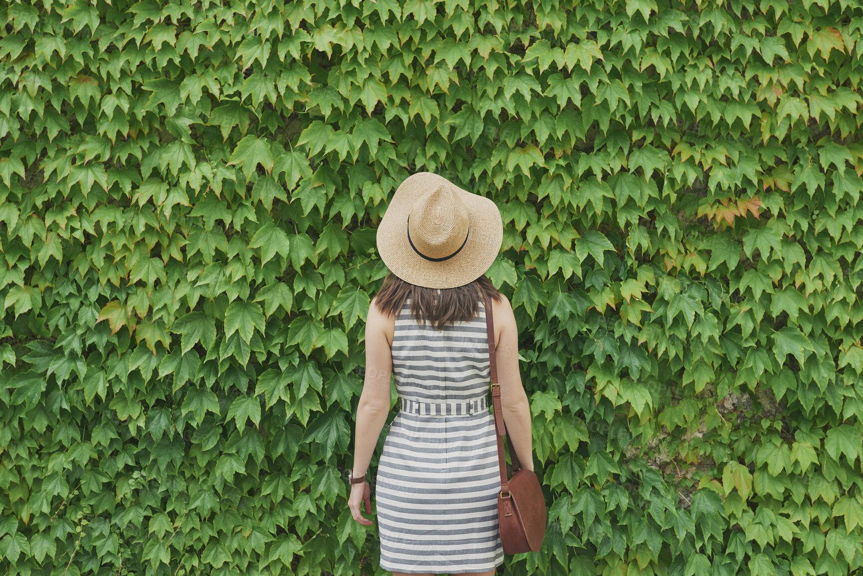 Buy stock photo Back, holiday and woman in nature with hedge, travel and botanical landmark on adventure trip. Wall, leaves and female person outdoor for tourism, scenic greenery and destination of vacation getaway