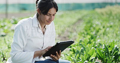 Buy stock photo Tablet, woman and biologist with plants in greenhouse for sustainability, agriculture and agro research. Technology, eco friendly and female scientist with botany growth on farmland for horticulture.