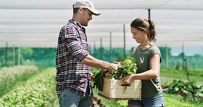Buy stock photo Couple, farmer and vegetables for agriculture, help or organic food production in crate. Plants, man and woman at farm with box for growth, agro and people at garden in countryside, smile or support