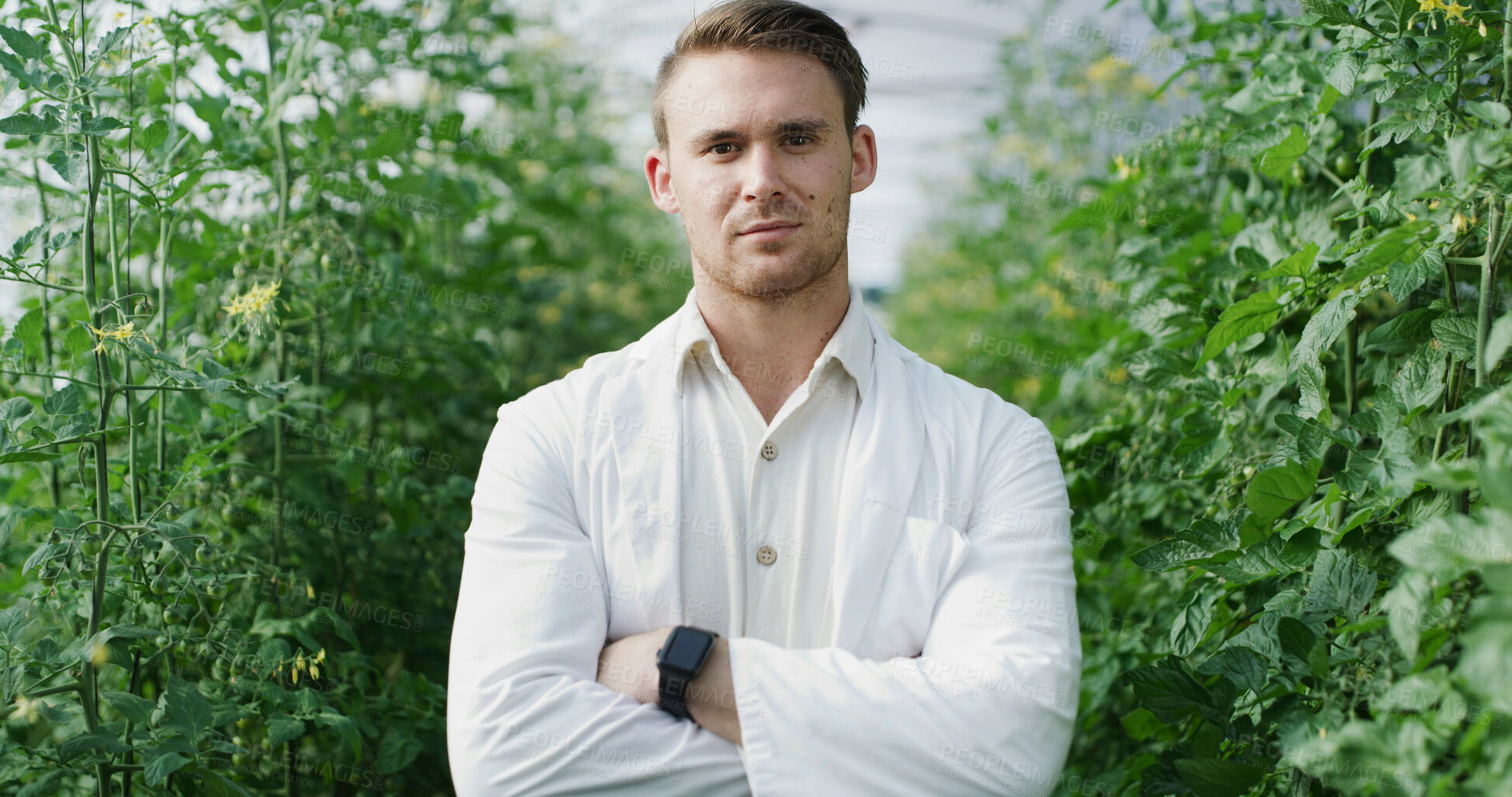 Buy stock photo Scientist, man or arms crossed in greenhouse portrait for field study, medical research or about us. Sustainable, agronomist and confidence for crop management, quality assurance and plant inspection