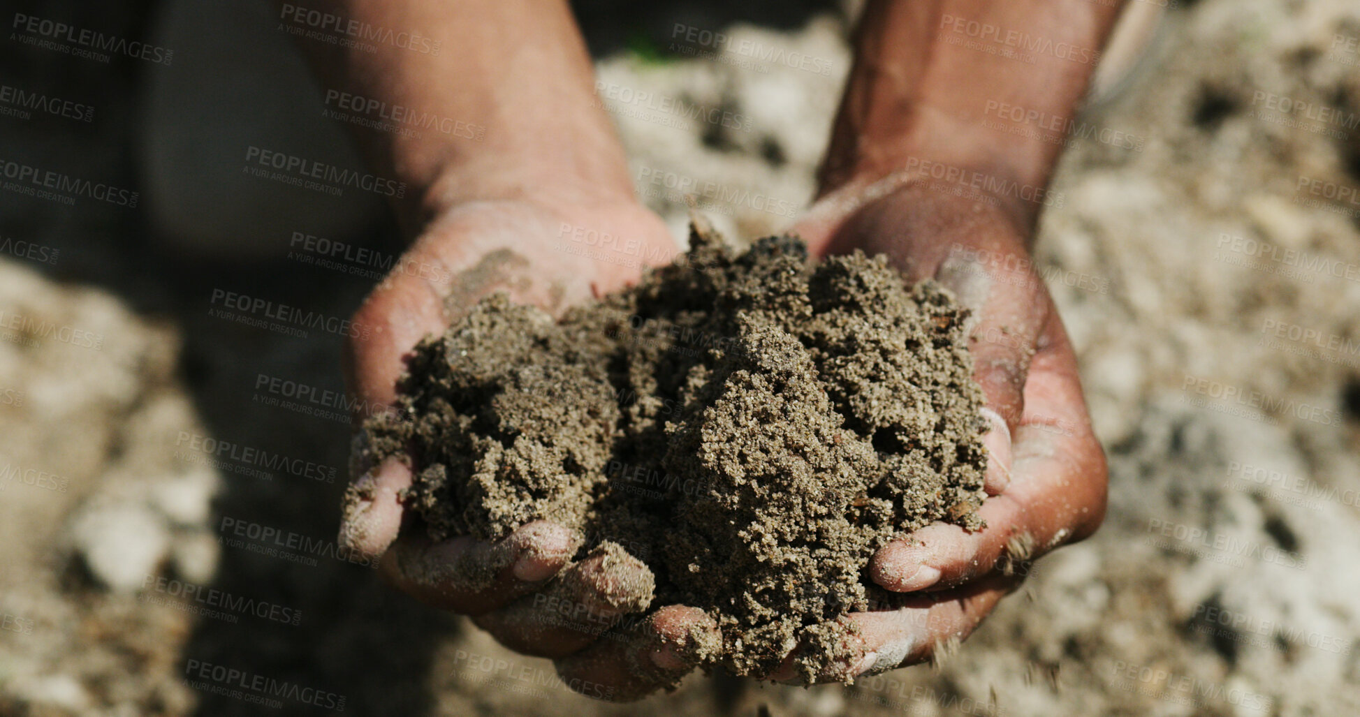 Buy stock photo Agriculture, nature and hand with compost for inspection, fertilizer check or environmental assessment. Outdoor, farmer and person with evaluation for land health, sustainable farming or testing soil