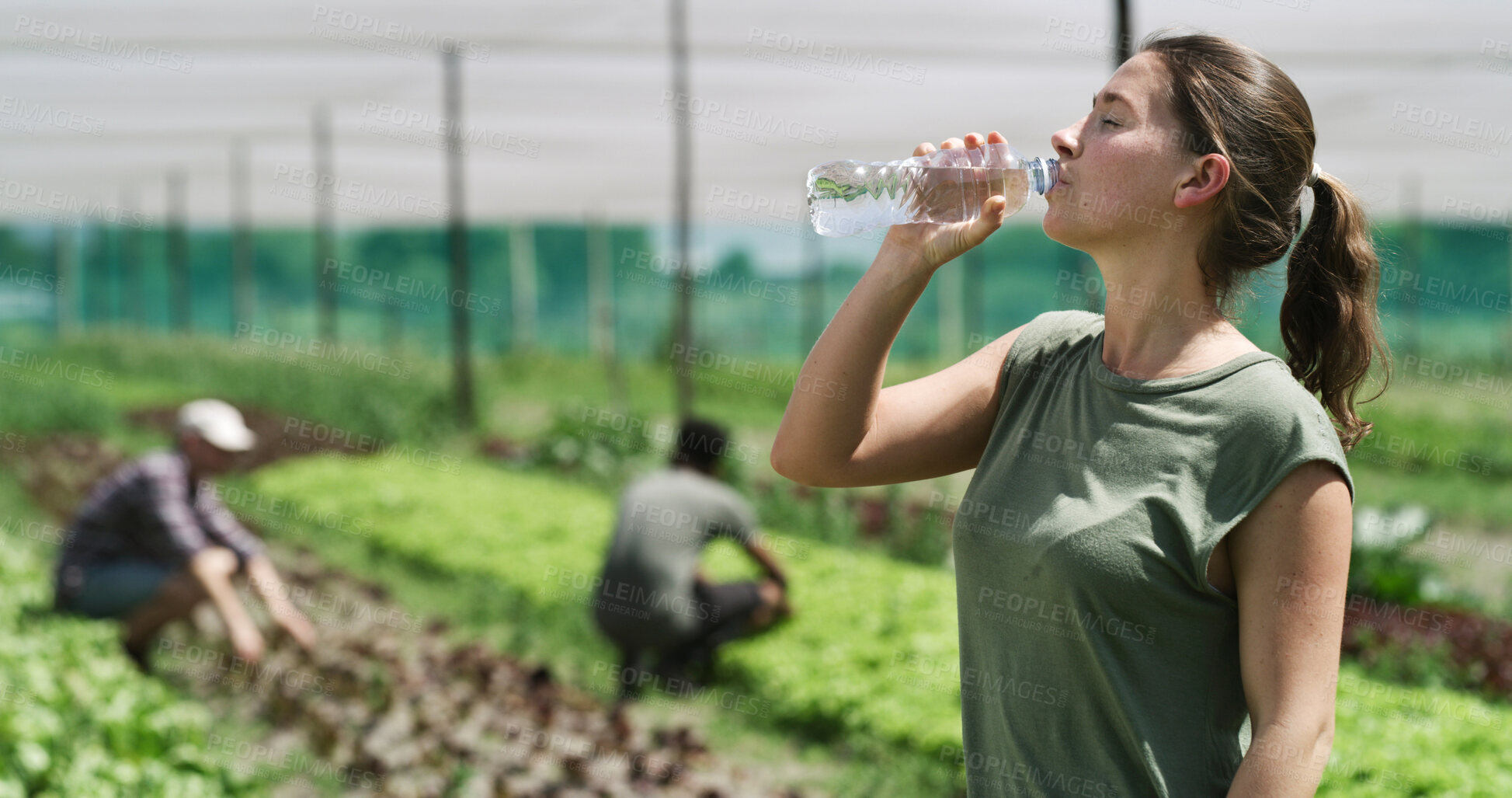 Buy stock photo Woman, farmer and drinking with water in greenhouse for natural sustainability or food production. Thirsty, female person or farming with mineral liquid for hydration, agro business or agriculture