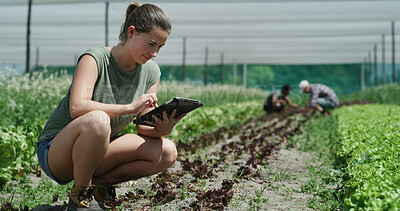 Buy stock photo Farmer, research or field inspection on tablet for nutrient status, soil health or quality control. Agriculture, woman and typing on tech for crop management, yield growth app and recording results
