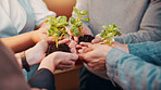 People, plants and hands for business growth with sustainability, development and startup. Sapling, sprout and soil with group of employees for support, teamwork and progress in eco friendly project