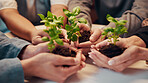 People, plants and hands for growth with sustainable business, development and startup. Together, sprout and soil with group of employees for support, teamwork and progress in eco friendly project