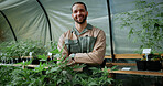 Happy, weed and portrait of man in greenhouse for cannabis growth, sustainability and agriculture. Herbal medicine, marijuana farmer and cbd production with person for hemp cultivator and plants