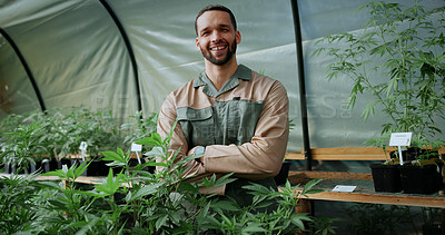 Buy stock photo Happy, weed and portrait of man in greenhouse for cannabis growth, sustainability and agriculture. Herbal medicine, marijuana farmer and cbd production with person for hemp cultivator and plants