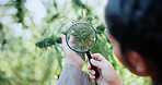 Cannabis, magnifying glass and hands of woman with plant for inspection, growth and check harvest. Agriculture, farmer and person with quality assurance for marijuana crops, leaves and hemp business
