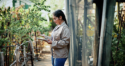 Buy stock photo Woman, farm and tablet for inspection with marijuana, production or hemp for sustainability. Agriculture, small business or cultivator with tech for cannabis, harvest or startup for eco textile