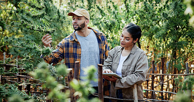 Buy stock photo People, farm and tablet for inspection with marijuana, production or hemp for sustainability. Agriculture, small business or cultivator team with tech for cannabis, harvest or startup for eco textile