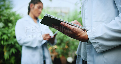 Buy stock photo Science, plants or hands in greenhouse with tablet, growth track or checklist in agriculture study. Digital, person or scientist with tech, crop development or results recording in botanical research