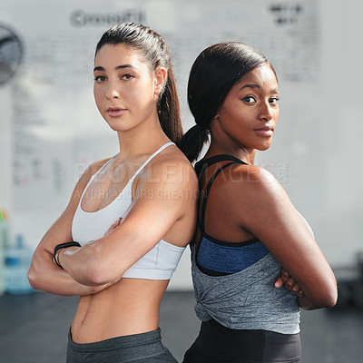 Buy stock photo Cropped portrait of two attractive young female athletes standing back to back in the gym
