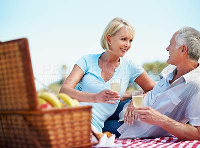 Buy stock photo A happy mature couple drinking champagne while enjoying a picnic in summer