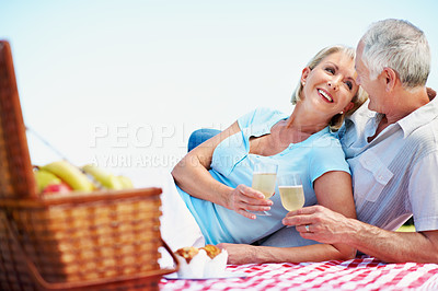 Buy stock photo A happy mature couple toasting each other while enjoying a picnic in summer