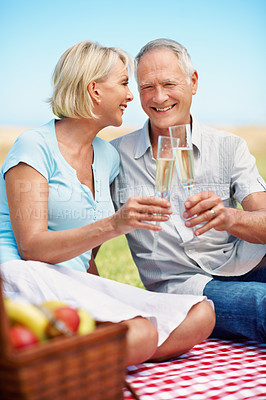 Buy stock photo A portrait of a happy mature man toasting his wife while enjoying a picnic together