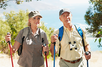 Buy stock photo Shot of an adventurous senior couple distracted in by something in the forest