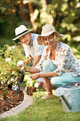 Buy stock photo Portrait of a happy senior couple gardening in their yard