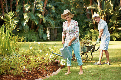 Buy stock photo Full length portrait of a happy senior couple gardening in their yard together