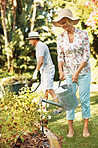 Our garden is our respite