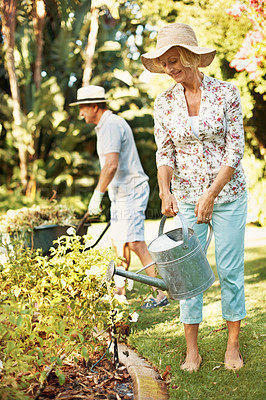Buy stock photo Full length shot of a happy senior couple gardening in their yard