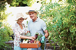 Enjoying the bounty of their labor