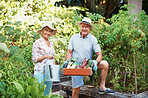 All gardening is landscape painting 