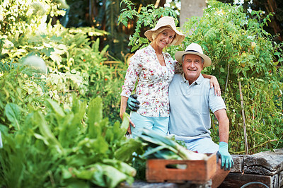 Buy stock photo Portrait of a happy and content senior couple sitting together in their garden