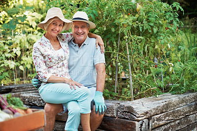 Buy stock photo Portrait of a happy senior couple sitting together in their garden
