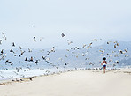 Free as a bird