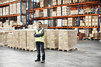 The warehouse manager