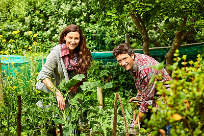 Buy stock photo Portrait of a smiling couple working in their organic garden