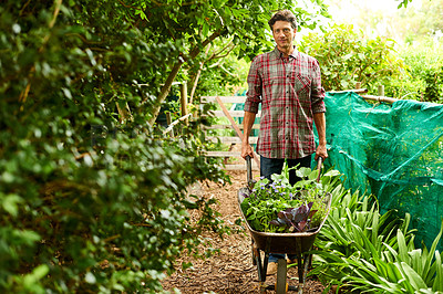 Buy stock photo Portrait of a man pushing a wheelbarrow through his organic garden