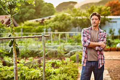 Buy stock photo Portrait of a mature man standing with his arms crossed in an organic garden