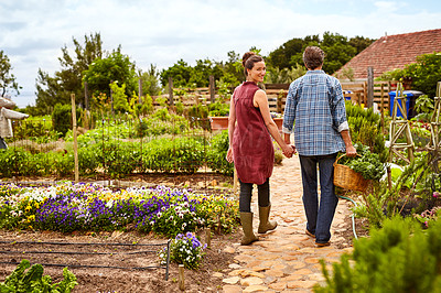 Buy stock photo Portrait of a smiling woman walking with her husband through in their organic garden