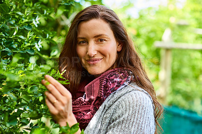 Buy stock photo Portrait of a smiling woman standing in her organic garden