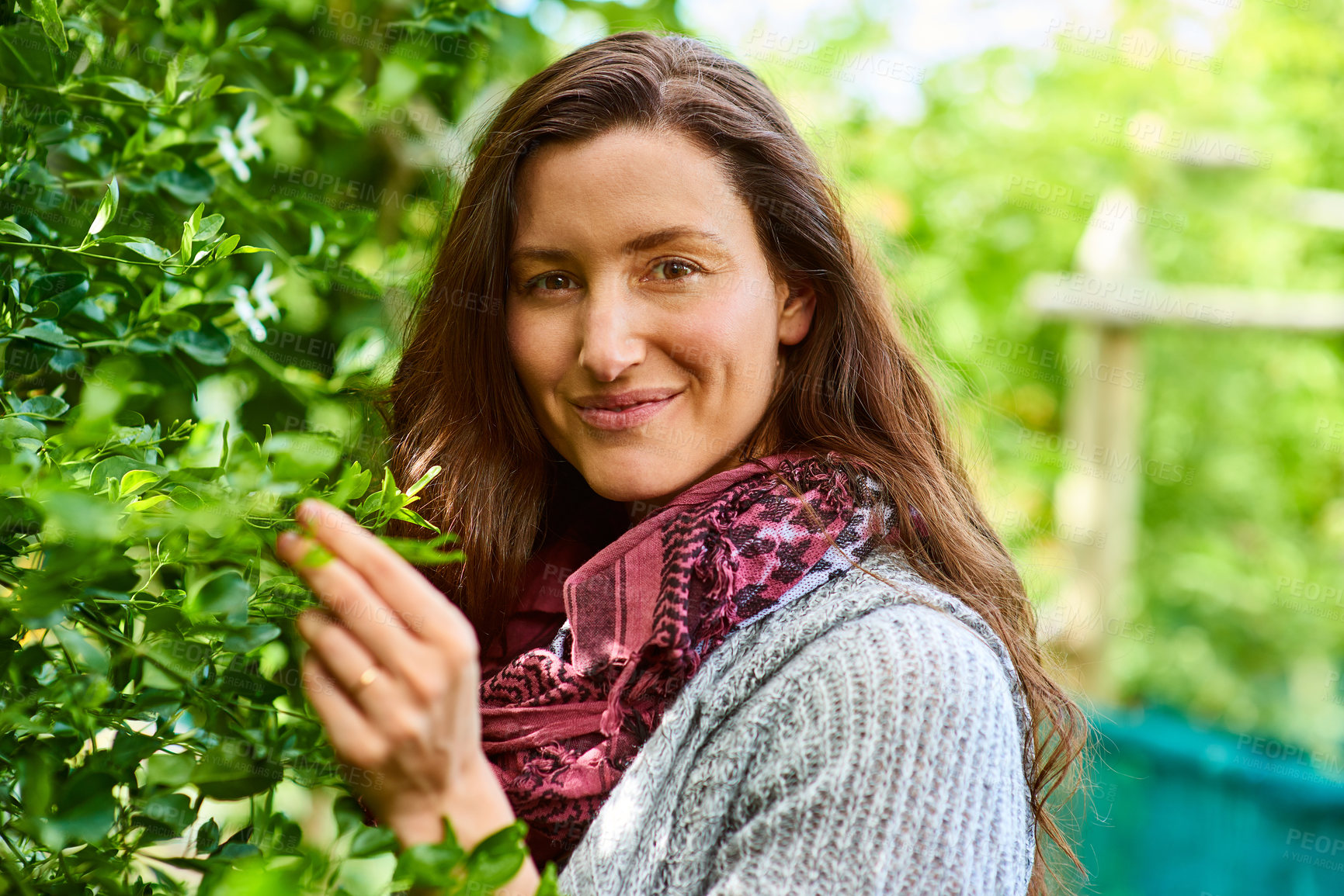 Buy stock photo Smile, woman or check plant for agriculture, leaf care or green development for horticulture. Happy person, garden or health inspection for eco growth, pest control maintenance or farming portrait